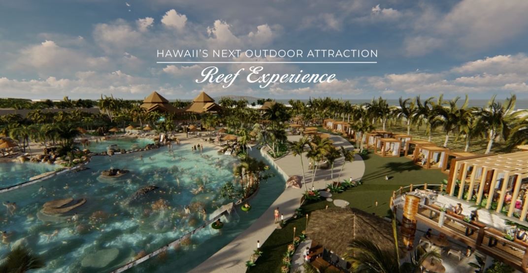 Reef Experience — film still